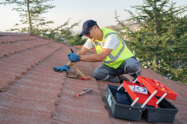 Best Metal Roofing Contractor  in Lemoore Station, CA