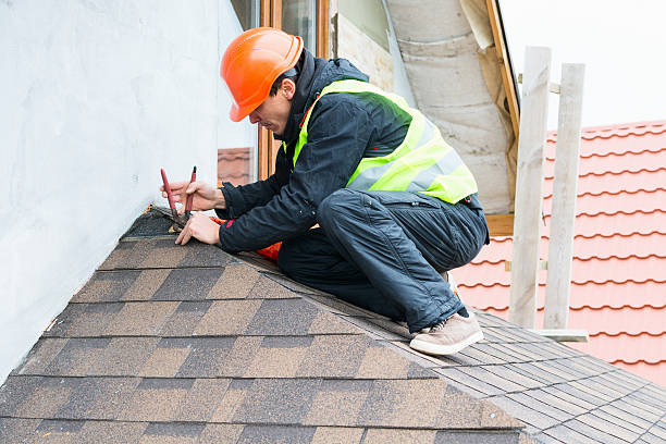 Best Roof Gutter Cleaning  in Lemoore Station, CA
